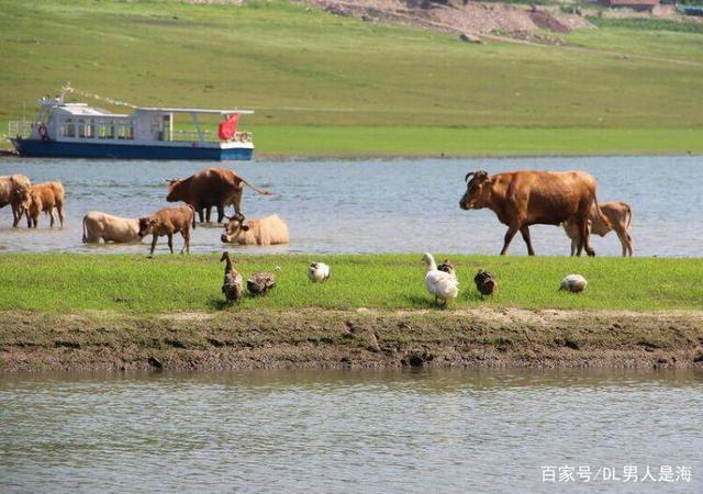 绿水百花景色美 大地草原牛马欢是什么生肖,详细解答解释落实_1846.47.43