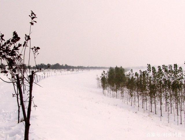 阑干风冷雪漫漫,惆怅无人把钓竿打一生肖,实时解答解释落实_nx270.17.14